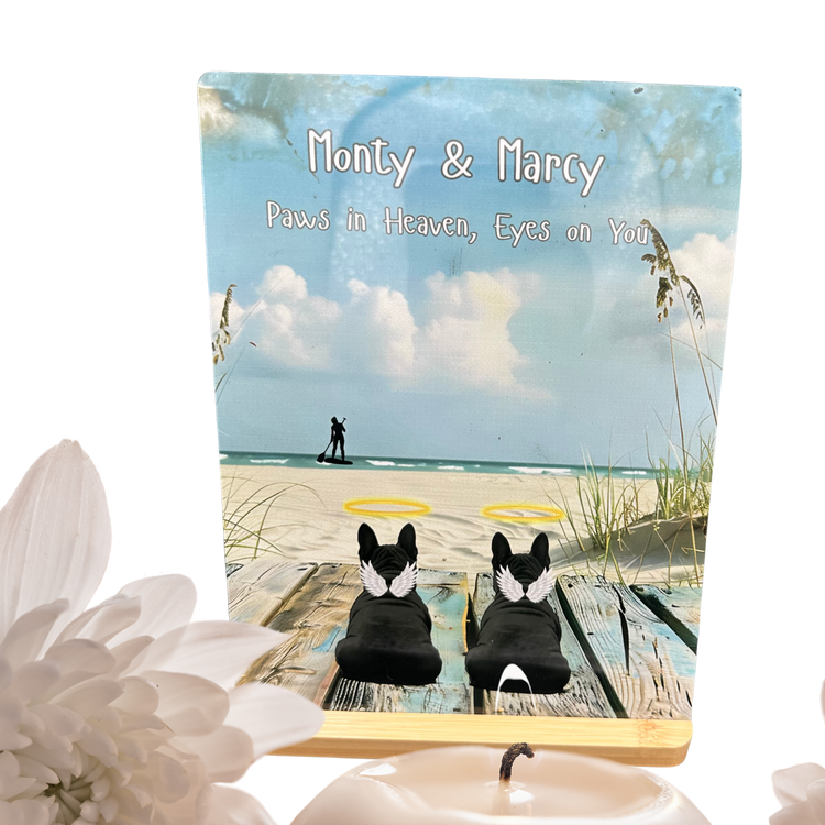 Special Day Essentials